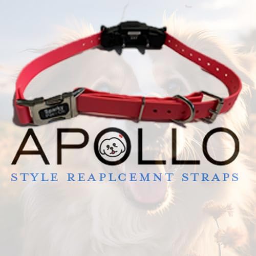 Sparky Pet Co - Apollo ECollar Replacement Strap - Dog Collar - Waterproof Biothane - Adjustable - Double Buckle - Quick Snap Metal Clasp - for Invisible Fence Systems - 1" x 30"(Black)