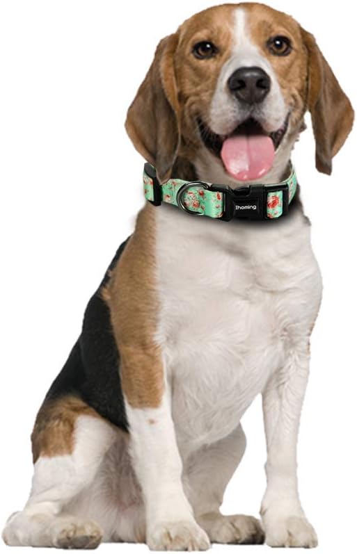 Ihoming Puppy Collar and Leash Set for Daily Outdoor Walking Running Training, Floral GreenLake Design for Extra Small Boys Girls Dogs Cats Pets, XS-Up to 10LBS