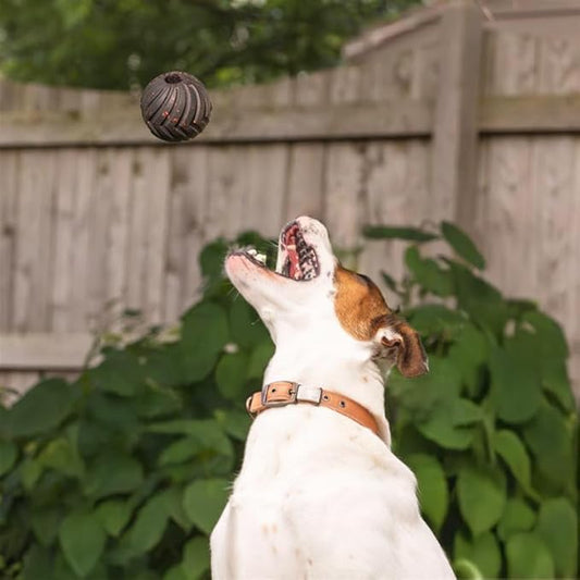 Chew King Supreme Durable Rubber Dog Ball for Aggressive Chewers, Treat-Dispensing Heavy-Duty Chew Toy with Safety Air Vent, Interactive Dog Toy for Training & Enrichment, Medium 3" Fetch Ball
