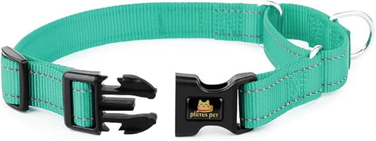 Plutus Pet Reflective Martingale Collar with Buckle - Durable and Adjustable Training Collar for No Pulling, Dog Choker Collar for Small Medium Large Dogs, Teal, S