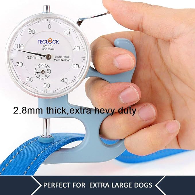 Plutus Pet Double Handle Dog Leash 5ft, Heavy Duty, Reflective Dual Handle Dog Leash for Safety Training, for Medium Large Dogs,2 Handle Leads(Blue)