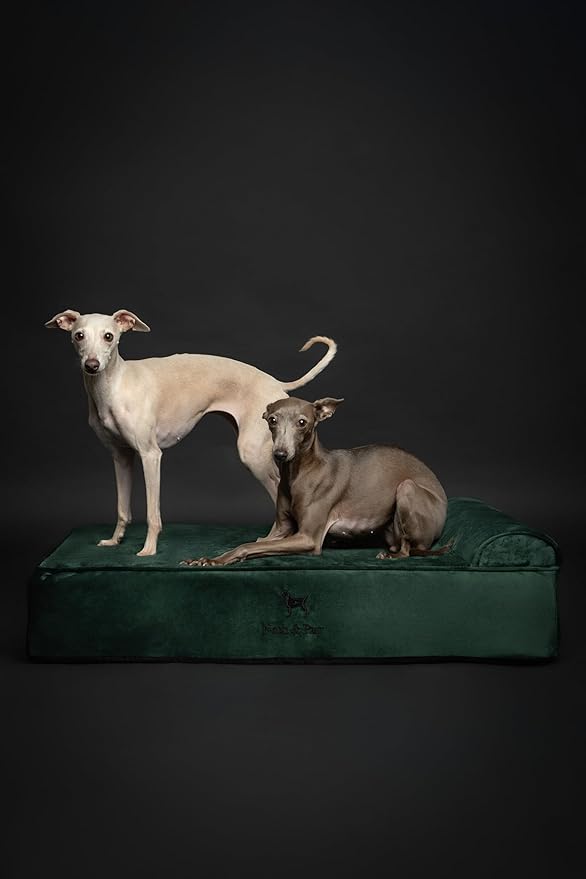 NOAH & PAW Large Dog Bed, 35x25x8.7 Inch, Orthopedic Dog Beds, Eggshell Memory Foam Infused with Cooling Gel, Waterproof, Machine Washable, Includes Inner Cover (Velvet Collection)