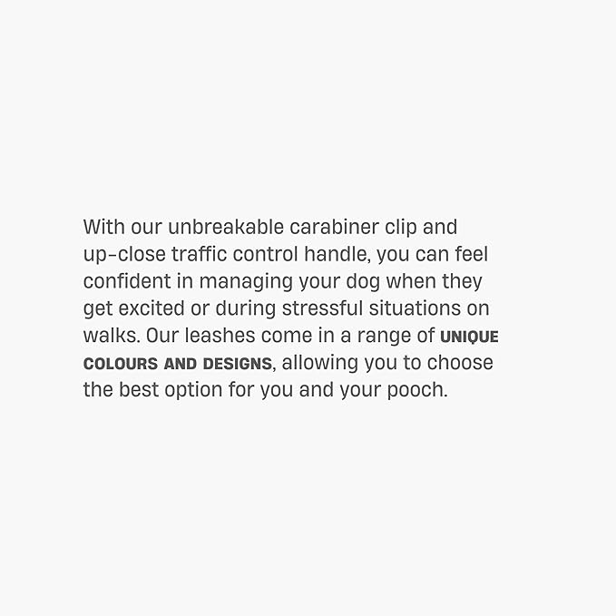 DF Co. Classic Dog Leash | Strain-Free, Shock Resistant, Prevents Jolts, Maintain Control | Durable Waterproof Material with Heavy Duty Clip & D-Ring (Pink, Small)