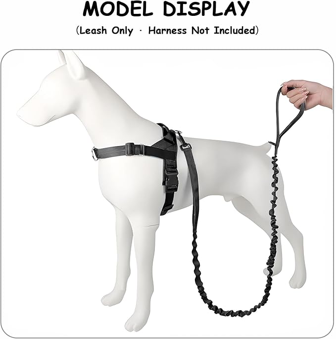 Bungee Dog Leash with Shock Absorption, Dual Handles for Pull Control, Reflective Nylon, Zinc Alloy Hook, D-Ring for Poop Bags, Black, L