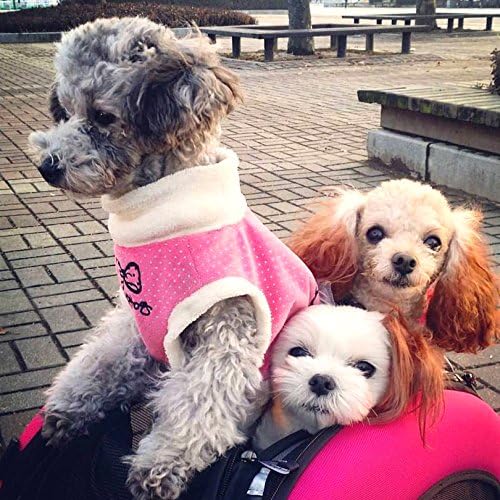 ibiyaya - Compact 5-in-1 Convertible and Foldable Small Pet Carrier and Stroller - Multifunctional Combo System Cat Stroller and Dog Stroller - Pets up to 16 Pounds - Pink