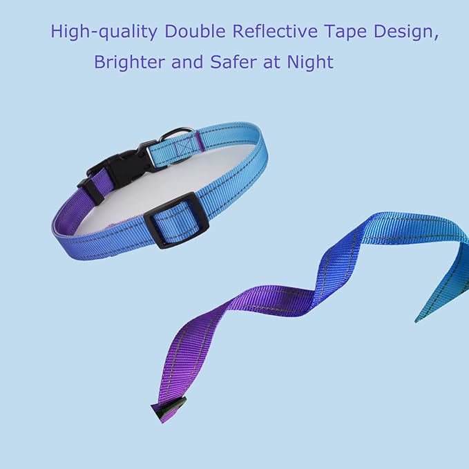 Roses&Poetry Reflective Dog Collar and Leash with Gradient Violet, Adjustable Durable Pet Collars Leash for Medium Large Dogs (Violet-M