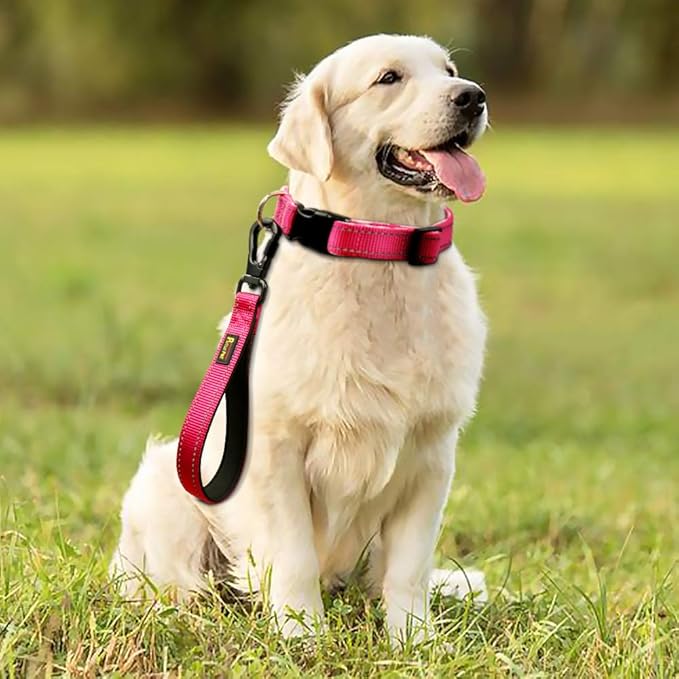 PLUTUS PET 10 Inch Short Dog Leash for Large Dogs with Locking Carabiner Clip & Padded Handle (10”, Pink)