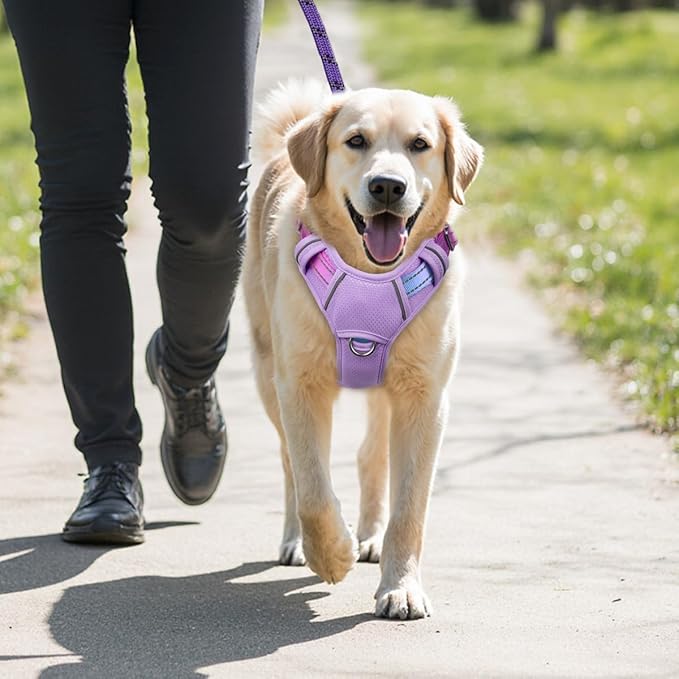 BARKBAY No Pull Dog Harness Large Reflective Dog Harness with Front Clip and Easy Control Handle for Walking Training Running with ID tag Pocket(Lavender Sky,M)