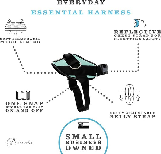 ShawnCo Essential Dog Harness, No-Pull Pet Vest with 3 Leash Clips, No Choke, Reflective, Adjustable and Padded, for Easy Walking and Training for Small, Medium and Large Dogs (Seafoam, S)