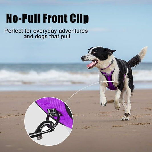 PoyPet No Pull Dog Harness, Reflective Comfortable Vest Harness with Front & Back 2 Leash Attachments and Easy Control Handle Adjustable Soft Padded Pet Vest for Small to Large Dogs (Purple,XS)