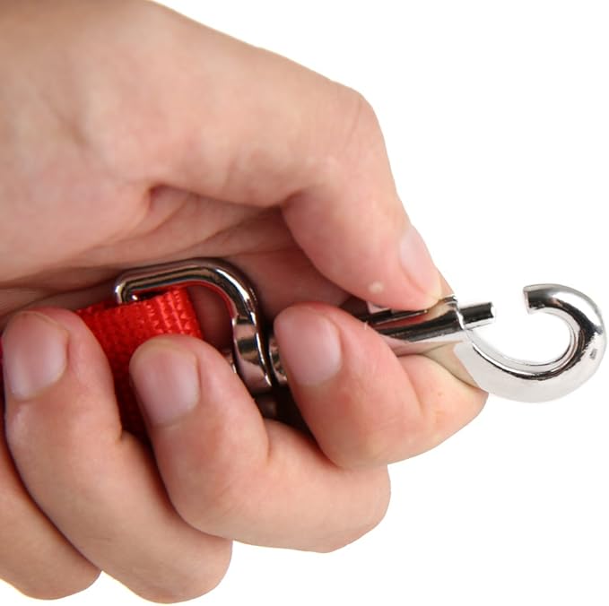 Strong Nylon Dog Leash with 2-Layer, 4 FT/ 6 Feet Long, 1 Inch Wide for Medium Large Dogs (1'' x 7 FT, Red)