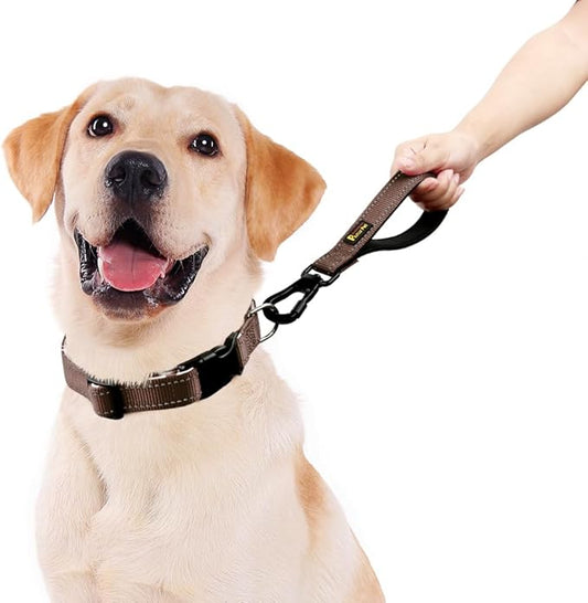 PLUTUS PET Short Dog Leash, Reflective Nylon Padded Handle, Strong Traffic Leash with Carabiner Clip, Perfect for Large or Medium Dogs (10”,Chocolate)