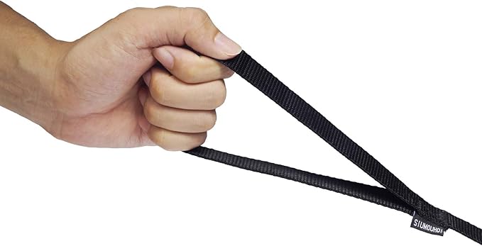 Siumouhoi Strong Durable Nylon Dog Training Leash, 1 Inch Wide Traction Rope, 6 ft 10ft 15ft Long, for Small and Medium Dog (Black, 15 Feet)