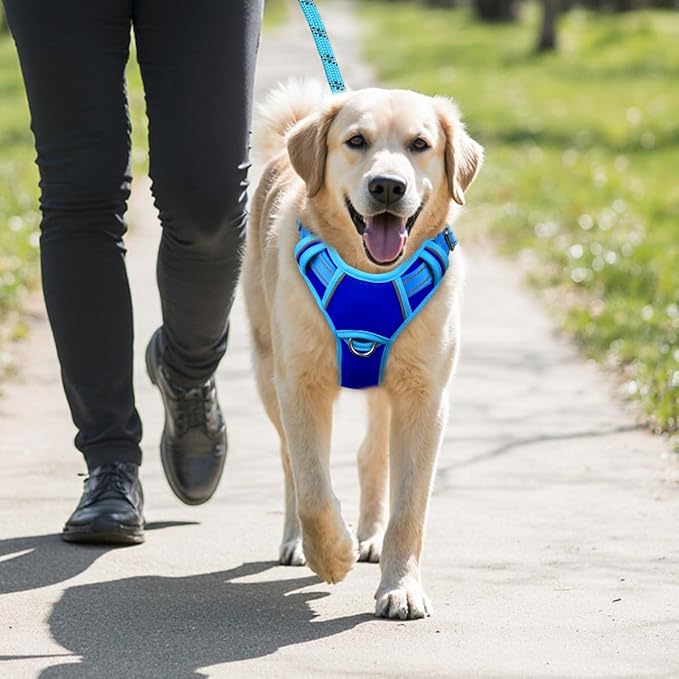 BARKBAY No Pull Dog Harness Large Reflective Dog Harness with Front Clip and Easy Control Handle for Walking Training Running with ID tag Pocket(Sapphire Blue & Blue,XL)