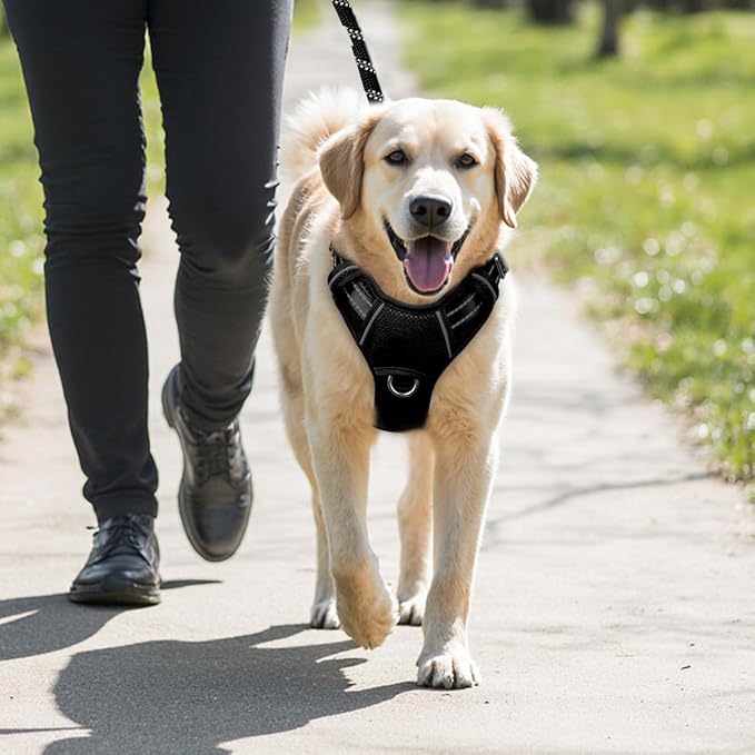BARKBAY No Pull Dog Harness Large Reflective Dog Harness with Front Clip and Easy Control Handle for Walking Training Running with ID tag Pocket(Black,M)