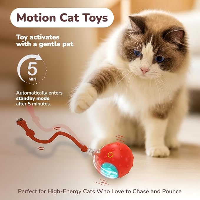 Outdoll Interactive Cat Toy Ball for Indoor Cats – Fast Rolling on Carpet, Motion Activated with Chirping Sounds, Smart Play Toy (Crimson)