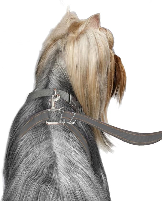 ThunderLeash No-Pull Dog Leash (Small (12 to 25 lbs), Grey)