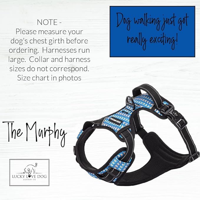 Lucky Love Dog No Pull Dog Harness, Adjustable and Easy to Walk, Cute Patterned Harness for Medium Male & Female Dogs - Murphy, Medium