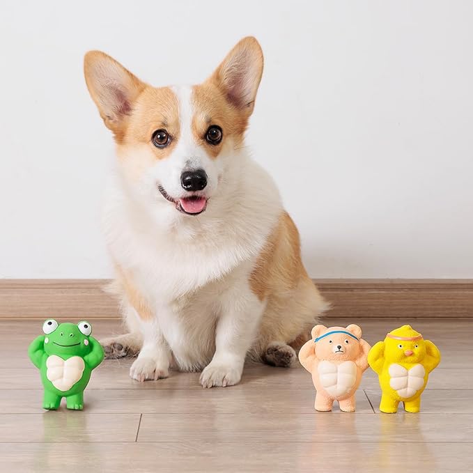 Pawdoer 3 Pack Squeaky Dog Toys for Medium Dogs, Soft Latex Chicken Squeaky Dog Ball, Cute Funny Squeak Different Animals Frog Bear Chicken Pet Toys