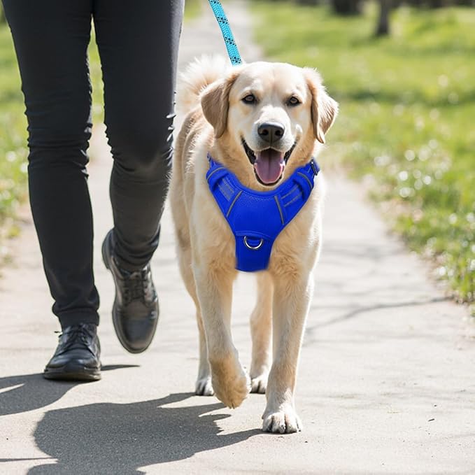 BARKBAY No Pull Dog Harness Large Reflective Dog Harness with Front Clip and Easy Control Handle for Walking Training Running with ID tag Pocket(Sapphire Blue,M)