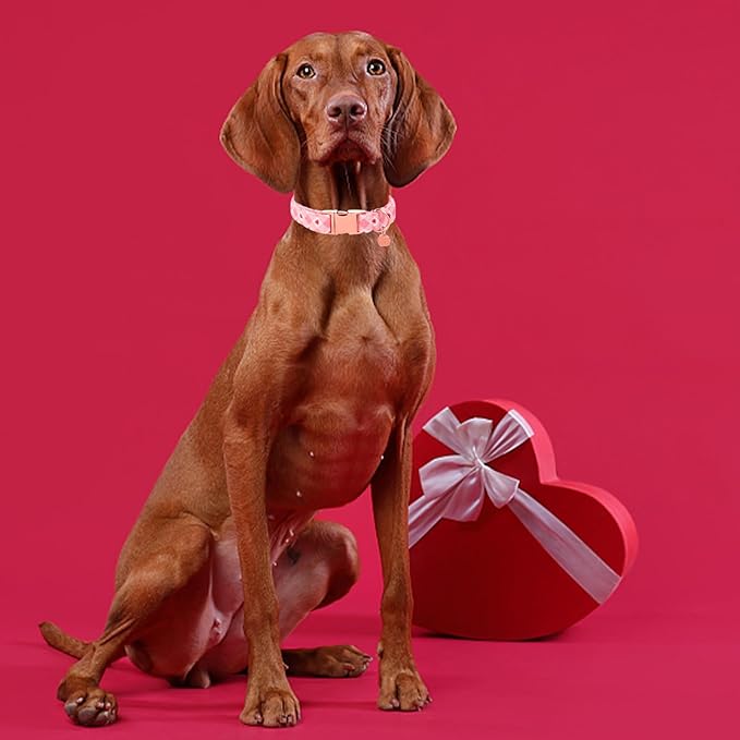 UP URARA PUP Valentine's Dog Collar,Pink Heart Dog Collar for Small Medium Large Girl Boy Dogs or Cats, Wedding Dog Collar Match Dog Leash, Pet Collar with Metal Buckle, XS
