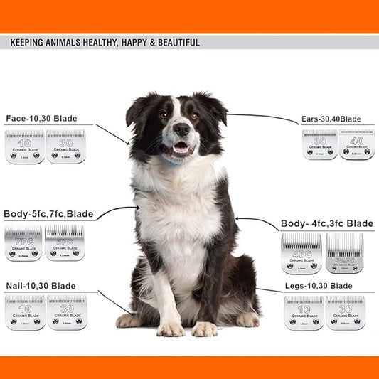 3 Pack 10 Blade Dog Grooming Blades Compatible with Andis Clippers/Oster A5/Wahl KM,Detachable Stainless Steel Blade,Size-10, 1/16-Inch Cut Length