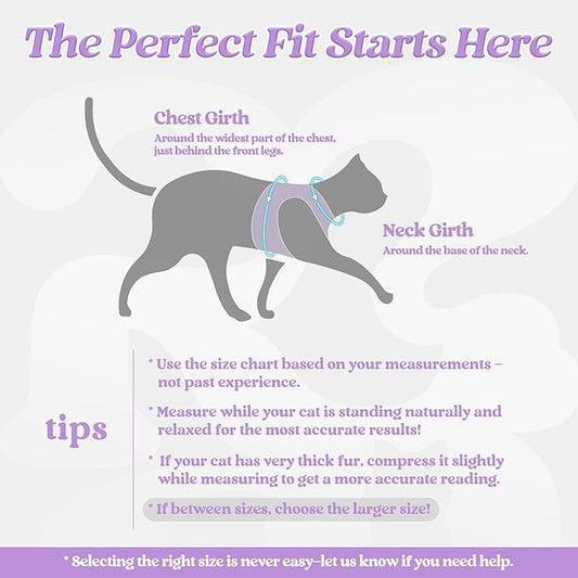 rabbitgoo Cat Harness and Leash Set for Walking Escape Proof, Adjustable Soft Kittens Vest with Reflective Strip for Cats, Comfortable Outdoor Vest, Light Purple, S