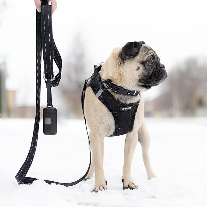 Best Pet Supplies Voyager Reflective Dog Leash or Collar with Neoprene Handle, for Small, Medium, and Large Breed Puppies, Cute and Heavy Duty for Walking, Running and Training - Black (Leash), L