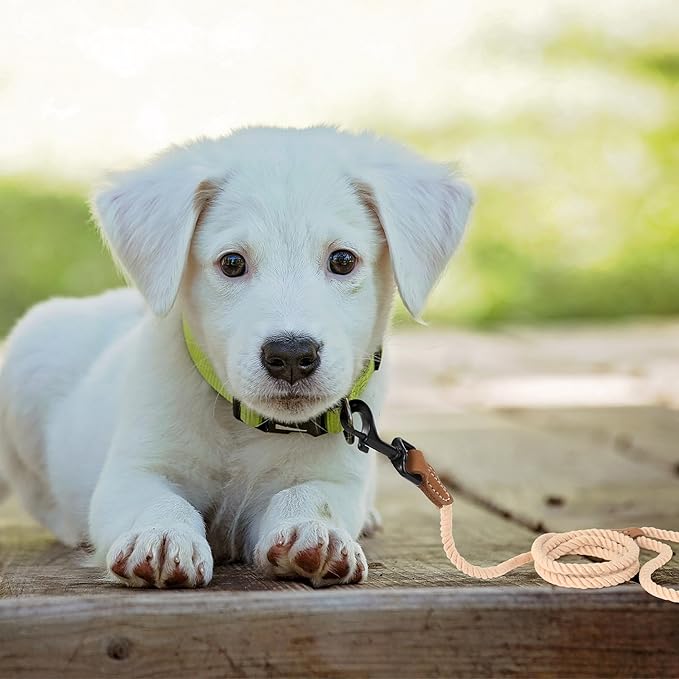 Mile High Life Dog Leash, Braided Cotton Rope Leashes with Leather Tip - Heavy Duty Metal Clasp, 4FT, 1/3" Thick - Wedding, Walking Leash for Small Medium Dogs(Light Brown)