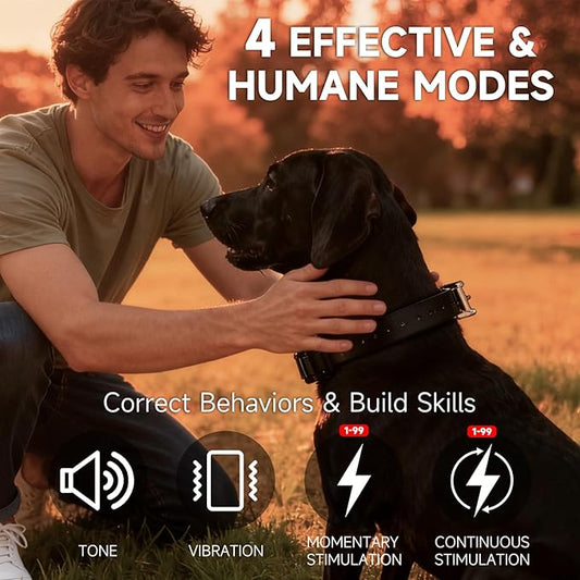 ABBIDOT Dog Shock Collar (10-120 lbs) - 5280 FT Dog Training Collar with Remote, IPX7 Waterproof with 4 Training Modes, Extended Battery Life, Multi-Mode Night Light, Rechargeable Electric Dog Collar