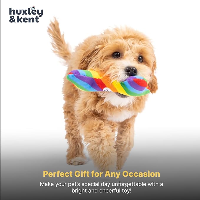 Huxley & Kent Funny Dog Toy w/Squeaker – Power Plush Squeaky Dog Toys for Small Dogs – Durable Small Stuffed Animal for Indoor Play & Fetch - Tiny Tuff Equality Bone