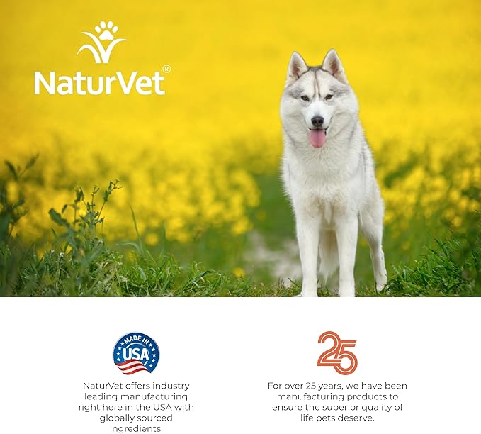NaturVet – Hemp Deodorizing Shampoo for Dogs - Plus Oatmeal & Honey – 16 oz – Gently Cleanses & Deodorizes Skin & Coat – Enhanced with Hemp Seed Oil, Coconut Oil & Aloe Vera Extract
