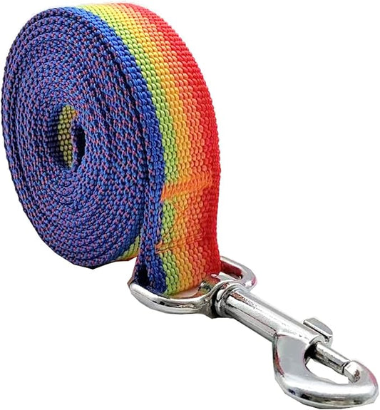 Nylon Dog Leash 12 Feet Long, Walking Training Dog Leashes for Medium Large Dogs(1" X 12 ft, Rainbow)