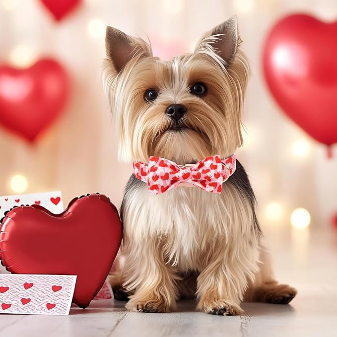 Valentines Dog Collar with Bow Tie - Cute Valentine Doodle Hearts Pink Girl Bowtie Dog Collar, Adjustable Metal Buckle Dog Collars for Small Medium Large Dogs XL