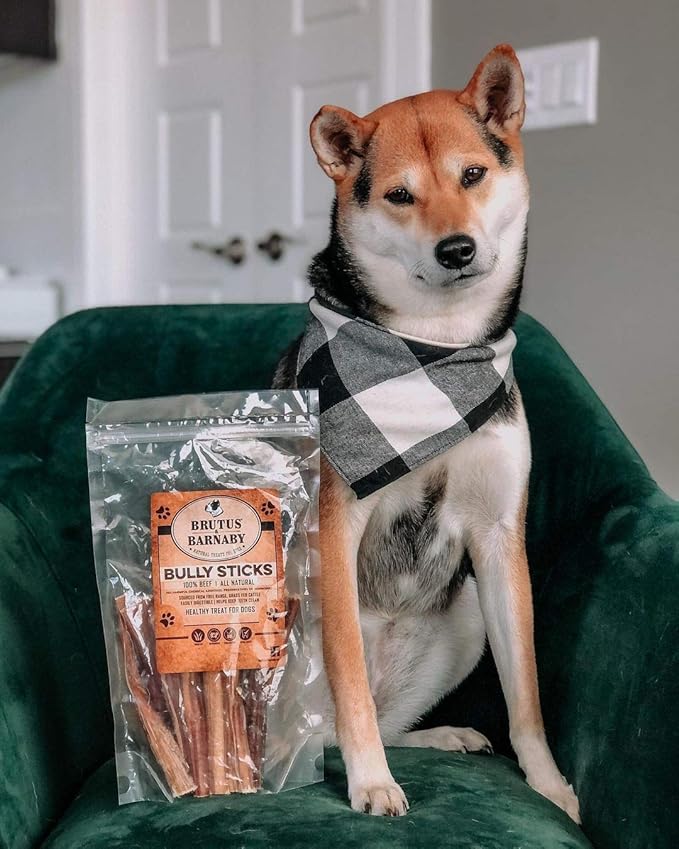 BRUTUS & BARNABY Bully Sticks for Dogs, 6" – Low-to-No Odor, Grass-Fed, Rawhide-Free Chews for Aggressive Power Chewers