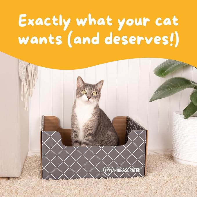 Hide & Scratch Cardboard Cat Scratcher Box & Bed - Dark Grey Diamond (+ 3 Refill Pads) | Double-Sided Corrugated Pad for Indoor Cats | Refillable Scratching Board Toy for Play & Furniture Protection