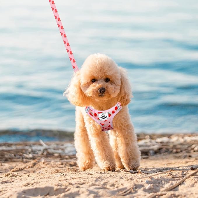 EXPAWLORER Small Dog Harness and Leash Set - Cute Puppy Harness Leash Dog Collar with AirTag Holder Silicone Case, Soft Padded Step in Pet Vest Reflective for Outdoor Walking, Strawberry XS