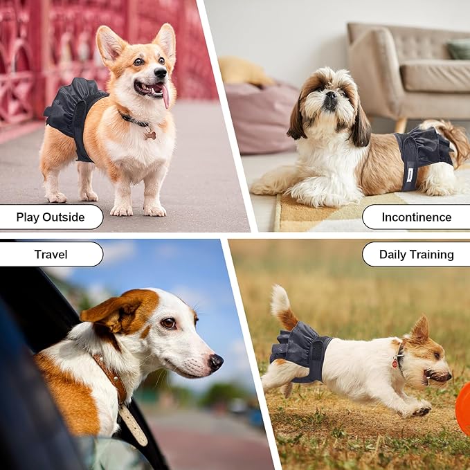 Reusable Dog Diapers Female Medium Washable, Premium Doggie Diaper for Dogs, Pack of 3, Highly Absorbent Dog Diaper for Heat, Incontinence and Puppy Training(M)