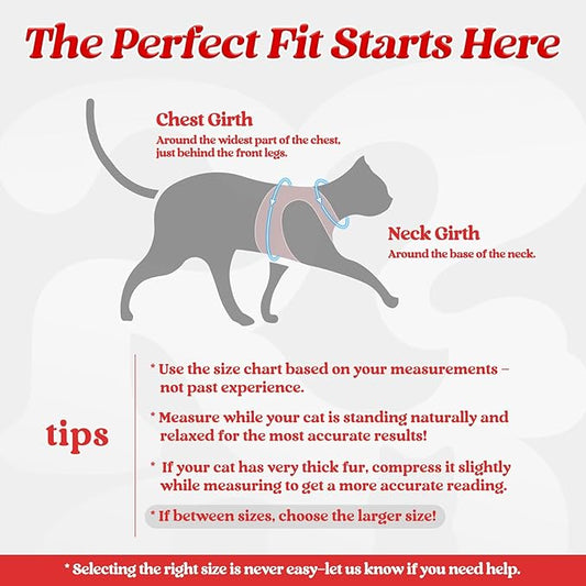 rabbitgoo Cat Harness and Leash Set for Walking Escape Proof, Adjustable Soft Kittens Vest with Reflective Strip for Cats, Comfortable Outdoor Vest, Red, L