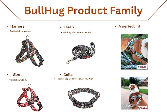 BULLHUG Adjustable Dog Harness– No Pull, No Choke – for English Bulldogs, French Bulldogs, Pugs & Broad-Chested Breeds – Easy, Safe Walks (Teal, Large)