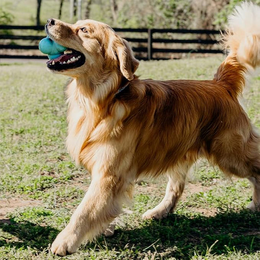Playology Dog Toys | Squeaky Bounce Ball for Dogs - Bounces in Unpredictable Ways | Jumbo Peanut Butter Scented Toy - Easy to Clean and Made from Non Toxic Materials