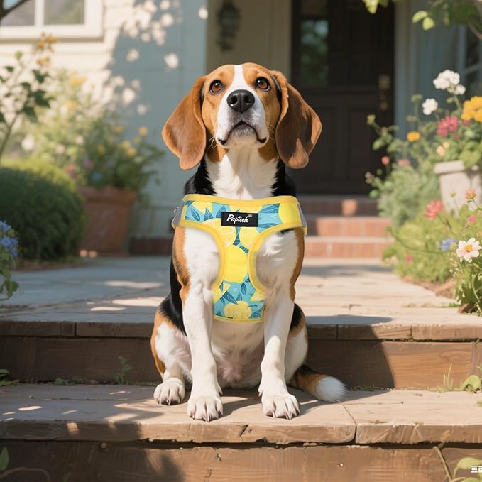 PUPTECK Dog Harness and Leash Set for Small Medium Dogs No Pull Step-in Soft Mesh Puppy Cat Vest Harnesses Reflective at Night, Yellow Lemon, M