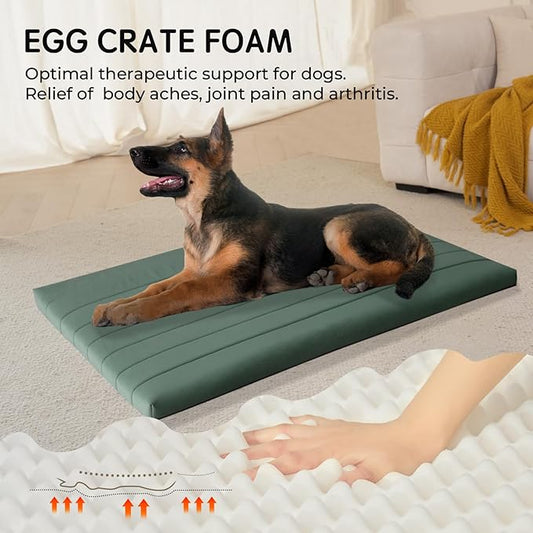 BALANCE Dog Crate Bed, Orthopedic Dog Bed Pad with Waterproof Liner, Washable Crate Foam Pet Mat for Large, Medium, Puppy Dogs Breeds, Mint Leaf, 48"x30"x2"