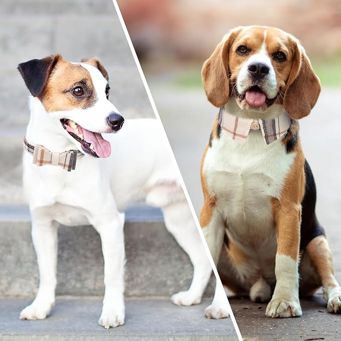 KOOLTAIL Small Dog Collar and Leash Set with Bowtie and Bells - Cute Shirt Style Puppy Bandana Collar and Leash for Male with Classic Plaid Pattern,Soft Leather Leashes for Small Dogs Boys Girls,Beige