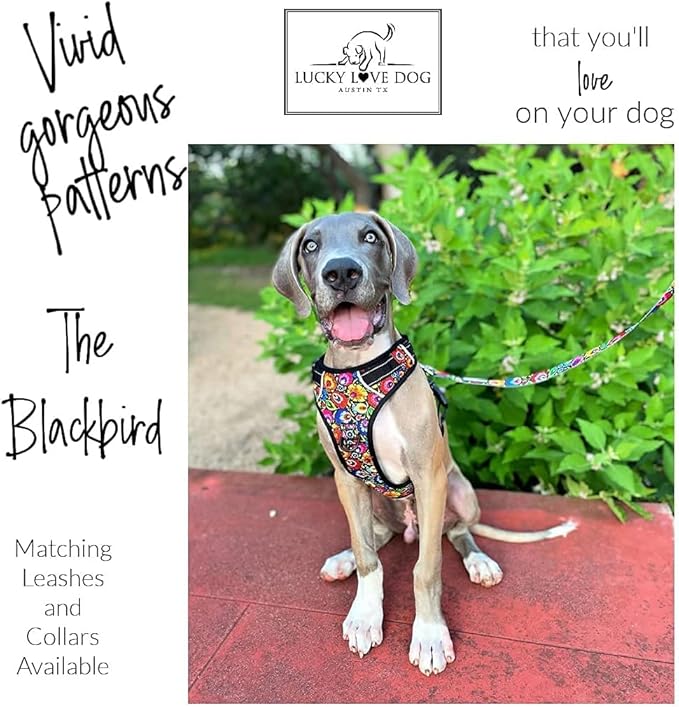 Lucky Love Dog No Pull Dog Harness, Adjustable and Easy to Walk, Cute Patterned Harness for Small Medium Large Male & Female Dogs - Blackbird, XXS