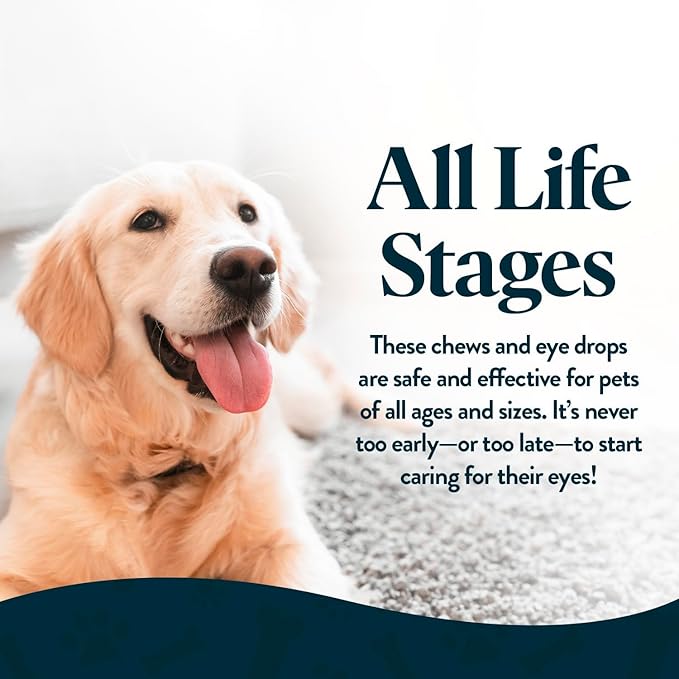 Bundle Eye Supplements for Dogs & Cats | Vision Chews with Omega-3 for All Ages | Includes 60 Chicken Liver Flavored Chews & Pet Eye Drops, 16 mL | Antioxidants & 2% NAC for Cataracts