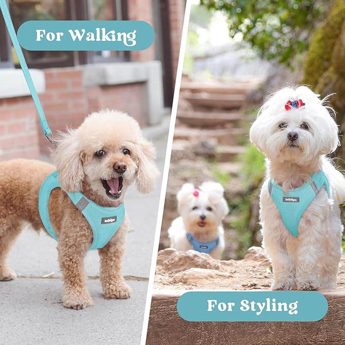 rabbitgoo Small Dog Harness, Step-in Soft Mesh Puppy Vest with Safety Buckle, Breathable Reflective Pet Harness for Small Medium Dogs, Mint Blue XL