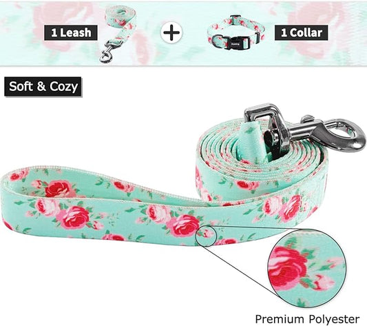 Ihoming Dog Collar and Leash Set for Daily Outdoor Walking Running Training, Floral Spring Design for Large Boys Girls Dogs Cats Pets, L-Up to 80LBS