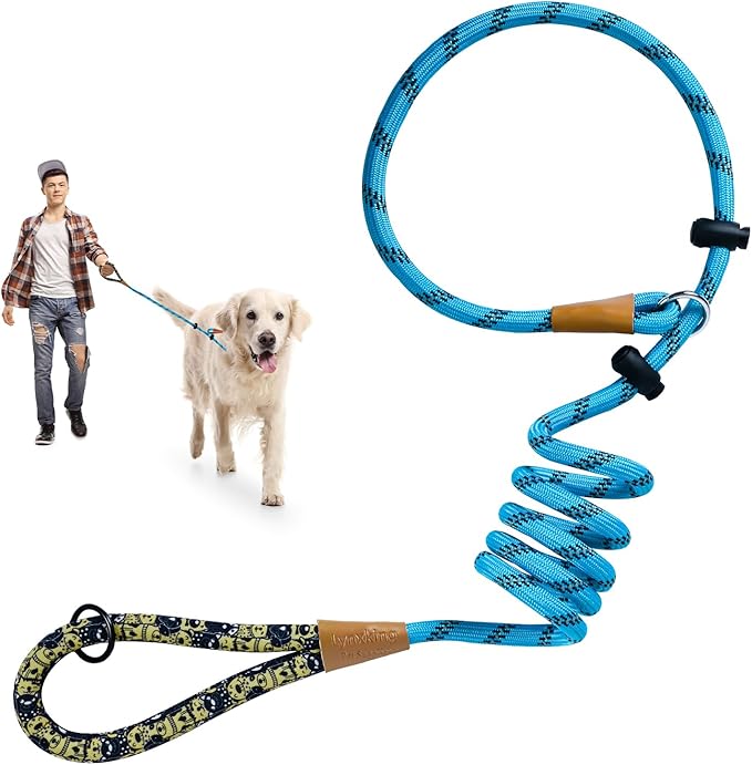 lynxking Slip Lead Dog Leash Reflective, Heavy Duty Comfortable Strong Rope for Large Medium Small Dogs No Pull Pet Training (Light Blue, 2PCS Large 1/2in x 6ft)