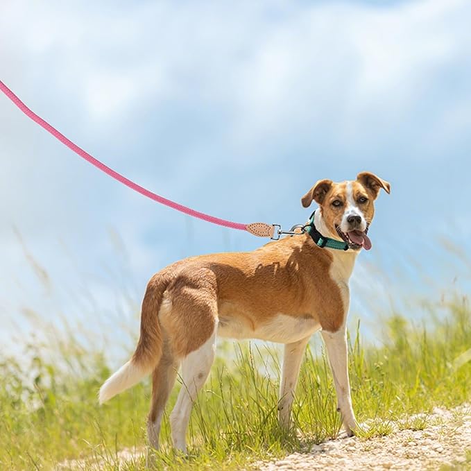Mile High Life Rope Leash with Genuine Leather Connection, 6 FT/5 FT/4 FT, Heavy Duty Leash for Small Medium & Large Dogs (Hot Pink,72 Inch)